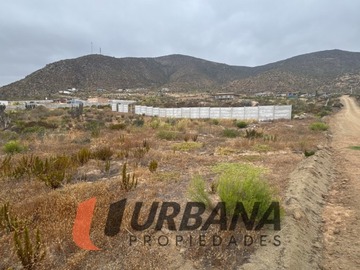 Imagen 4