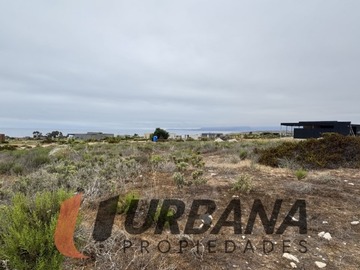 Imagen 9