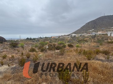Imagen 6