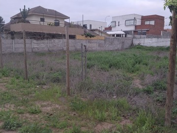 Imagen 8