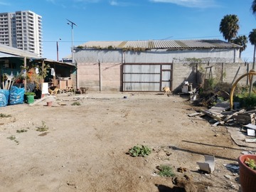 Imagen 10