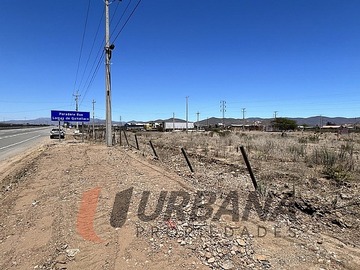 Imagen 5