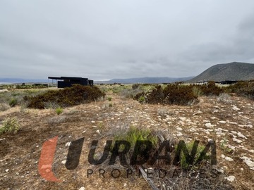 Imagen 12