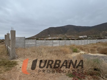 Imagen 4