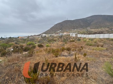 Imagen 5