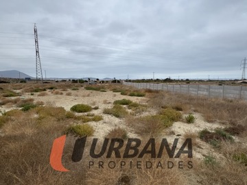 Imagen 12