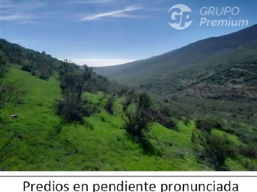 Imagen 9