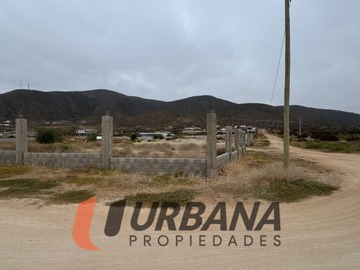 Imagen 8