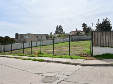 Imagen 12