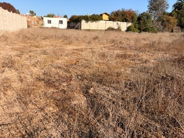 Imagen 7