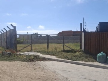 Imagen 6