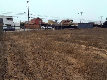Imagen 3