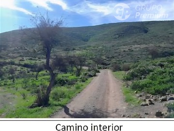 Imagen 4