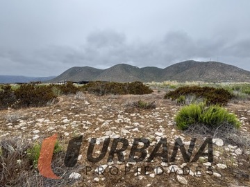 Imagen 11