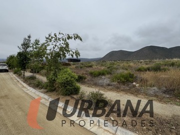 Imagen 13