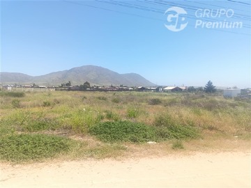 Imagen 4