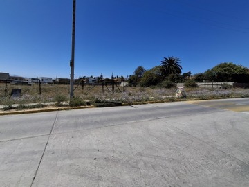 Imagen 5