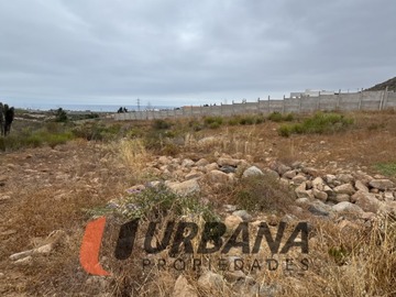 Imagen 9