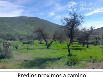 Imagen 7