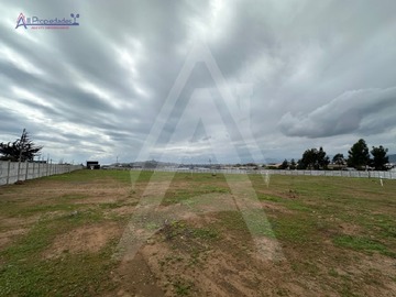 Imagen 6