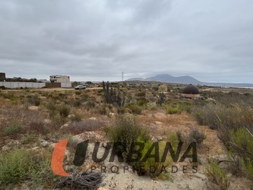 Imagen 8