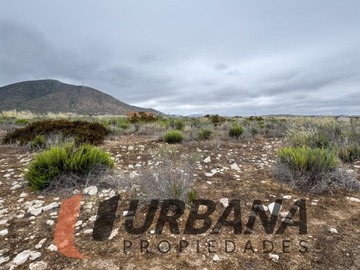 Imagen 10