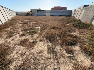 Imagen 7