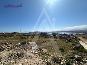 Imagen 5