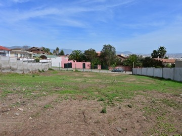 Imagen 5