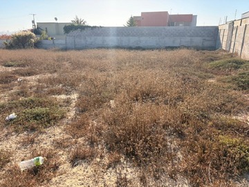 Imagen 14
