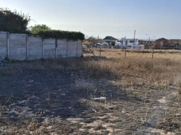 Imagen 8