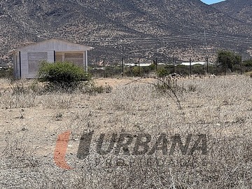 Imagen 7