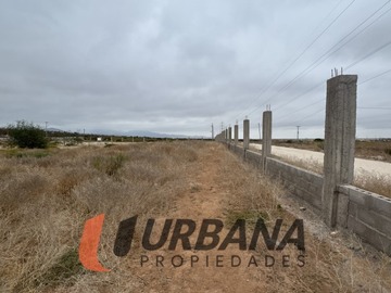 Imagen 7