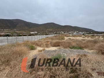 Imagen 5