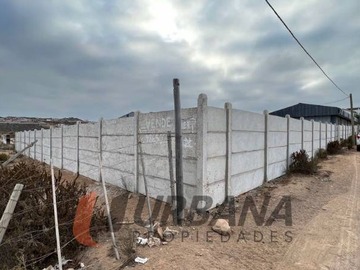 Imagen 7
