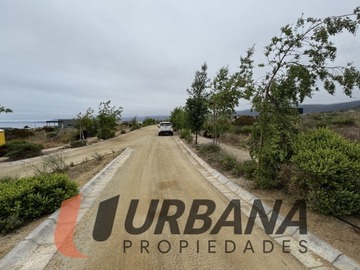 Imagen 14