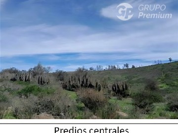 Imagen 6