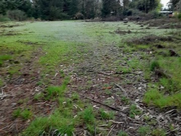 Imagen 5
