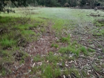 Venta / Sitio / Coronel