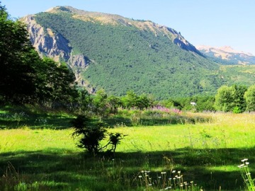 Venta / Sitio / Coyhaique