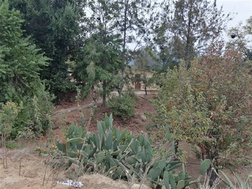 Venta / Sitio / Curacaví