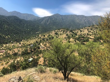 Venta / Sitio / Curacaví