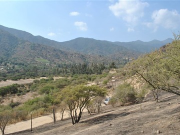 Imagen 13
