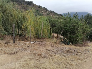Imagen 17