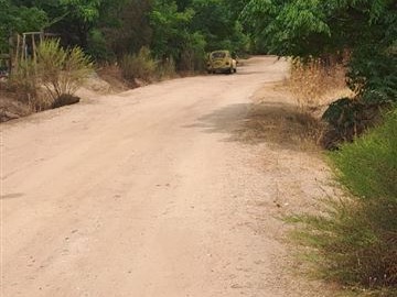 Imagen 5