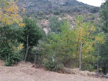 Imagen 26
