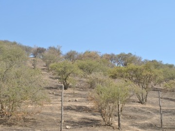 Imagen 6