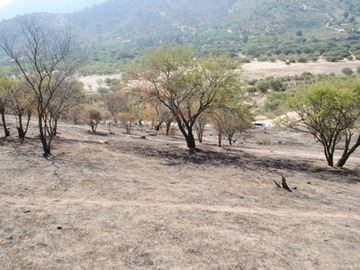 Imagen 7