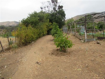 Imagen 14