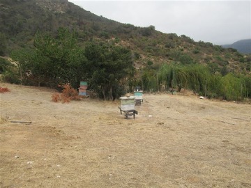 Imagen 7
